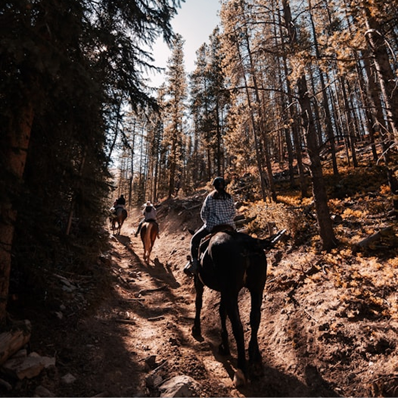 Horseback riding