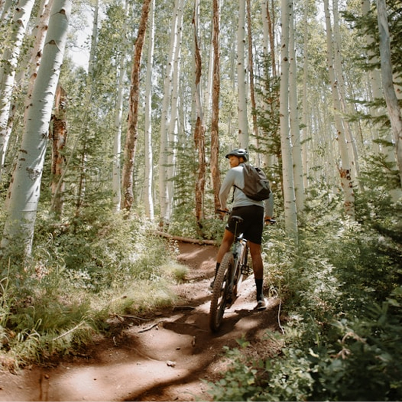 Ratta- ja tõuksisõit