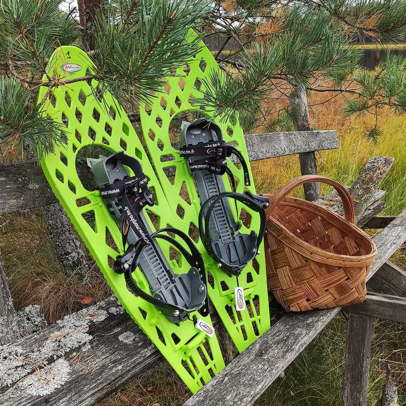 Snowshoeing and bog walks