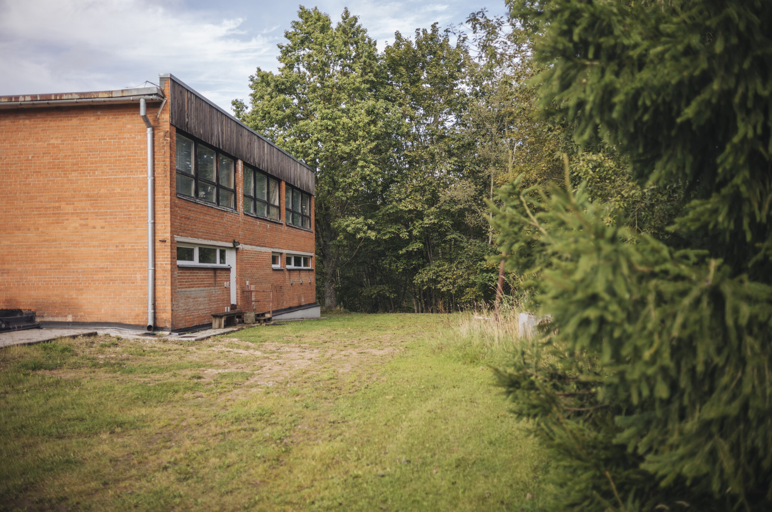 The rear facade of the Metsa 7 accommodation wing at the forest edge