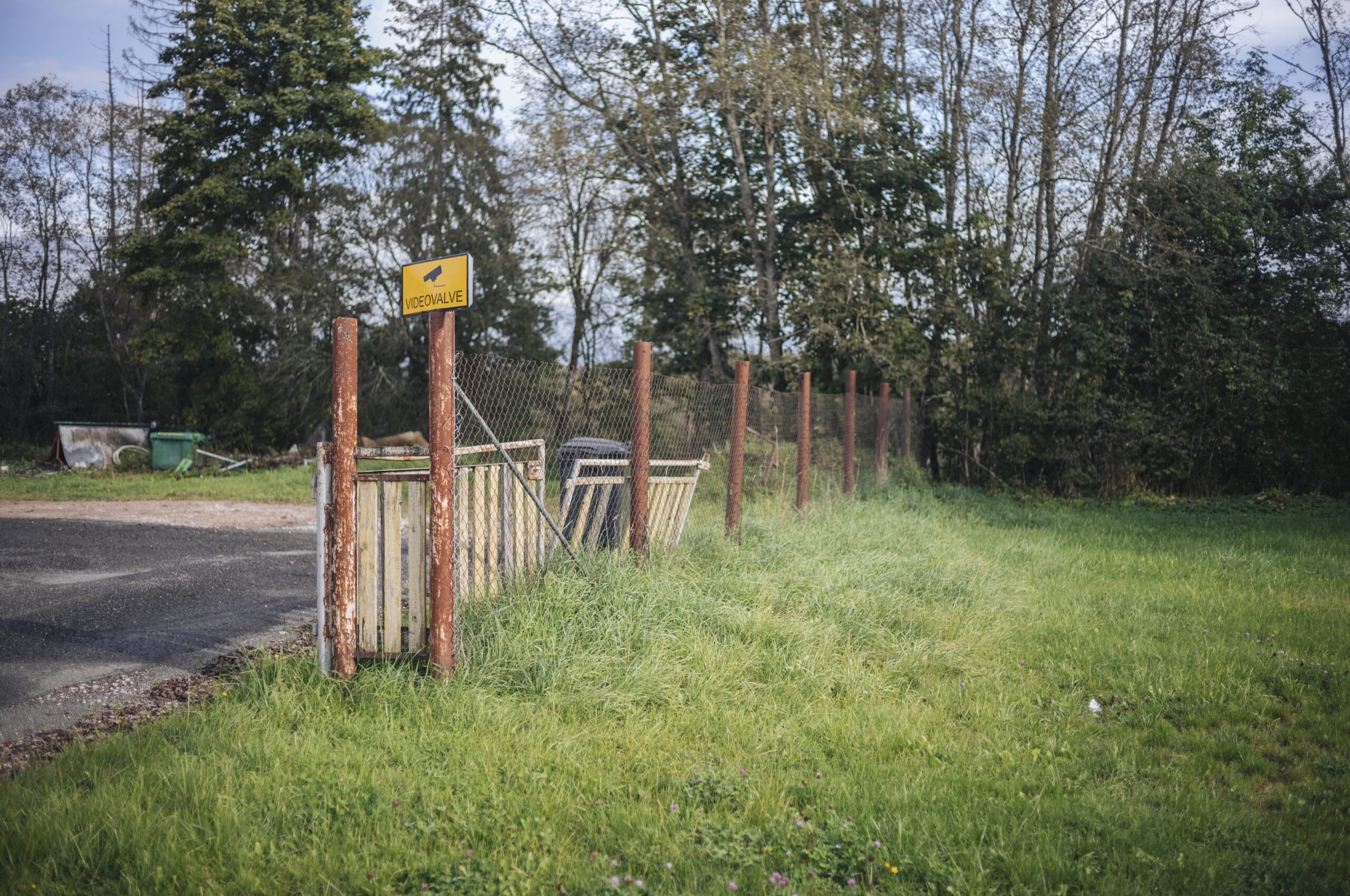 The edge of the Metsa 7 plot towards Intsikurmu park in Põlva